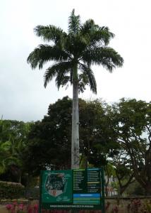 PGM 02.jpg